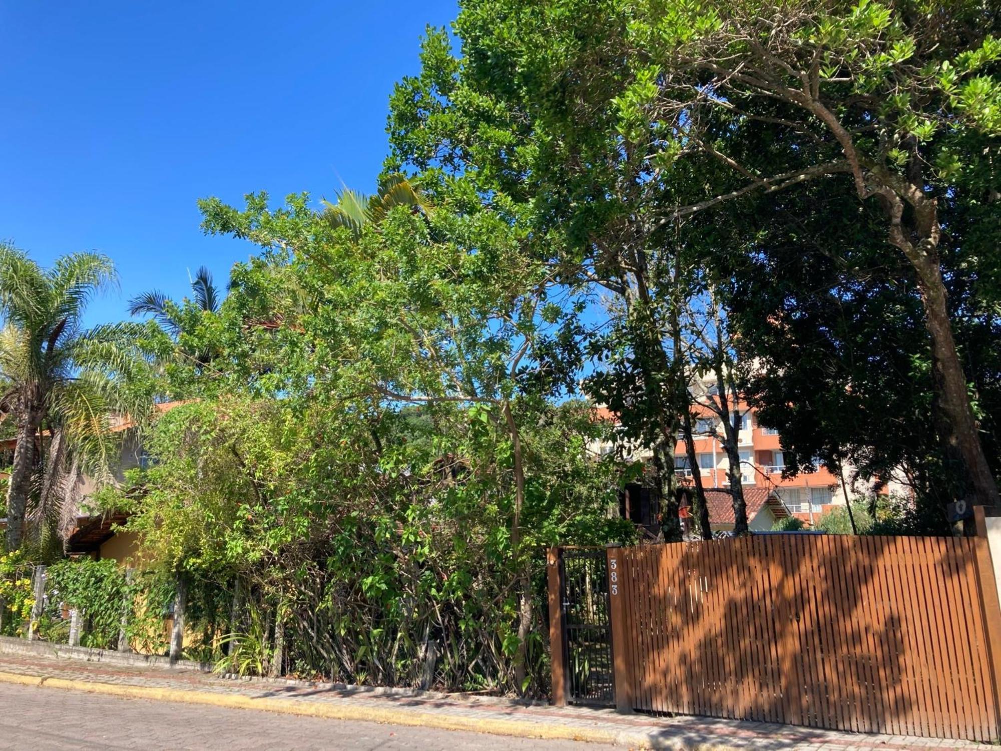 Casa Mico Leão Dourado Vila Bombinhas Exterior foto